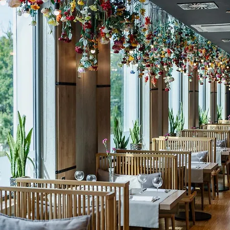 Aquarion Family & Friends - Destigo Zakopane